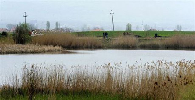 10760_foto