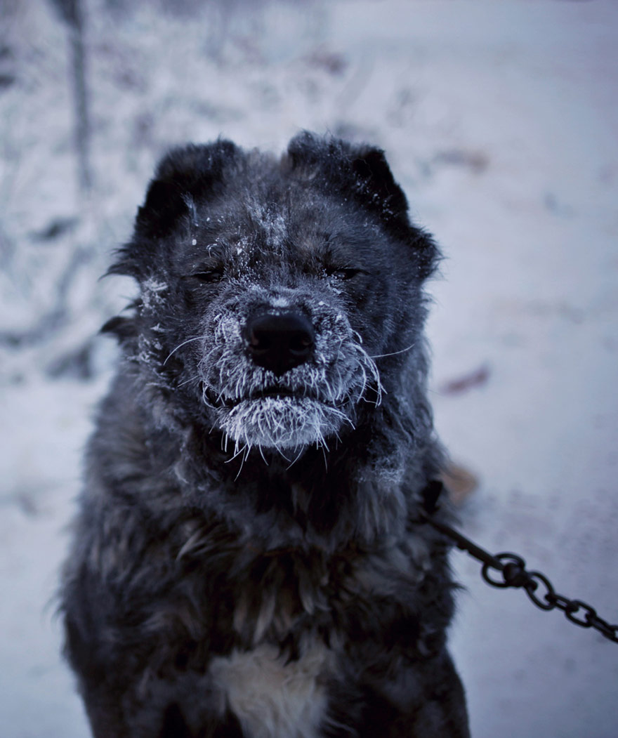 coldest-village-oymyakon-russia-amos-chaple-09