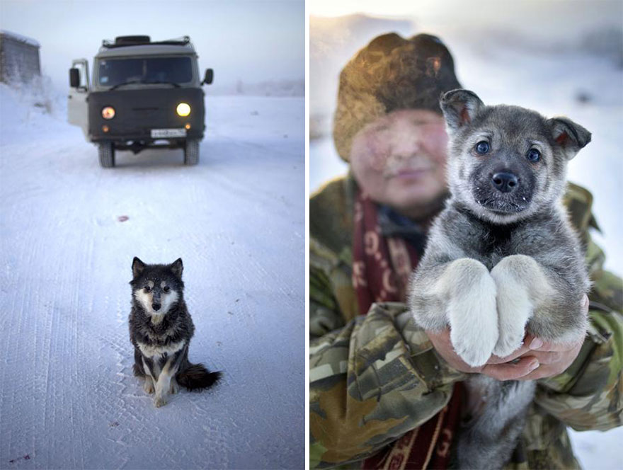 coldest-village-oymyakon-russia-amos-chaple-23