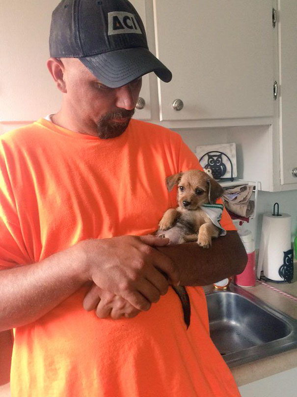 dads-who-didnt-want-dogs-14