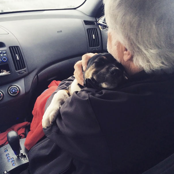 dads-who-didnt-want-dogs-17