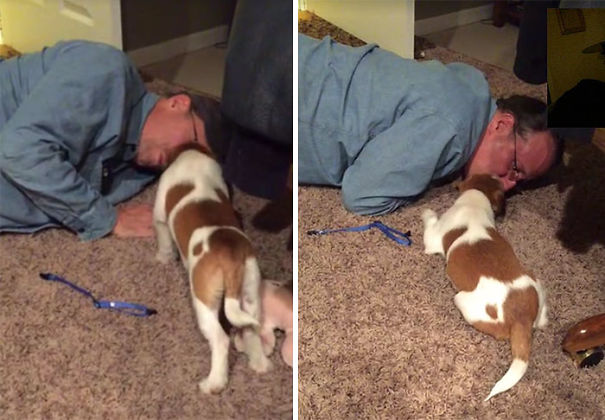 dads-who-didnt-want-dogs-20