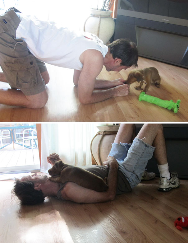 dads-who-didnt-want-dogs-25