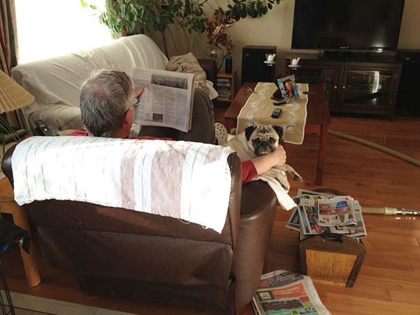 dads-who-didnt-want-dogs-27