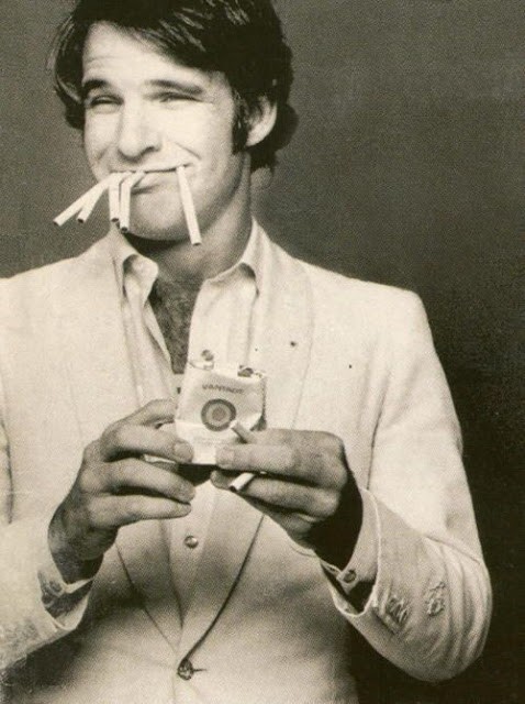 hollywood-stars-steve-martin