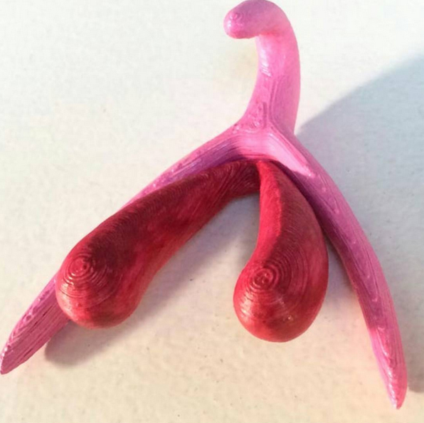 klitoris 3D