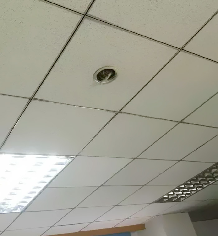 office-ceiling-cat-monitoring-omocha-no-uma-02