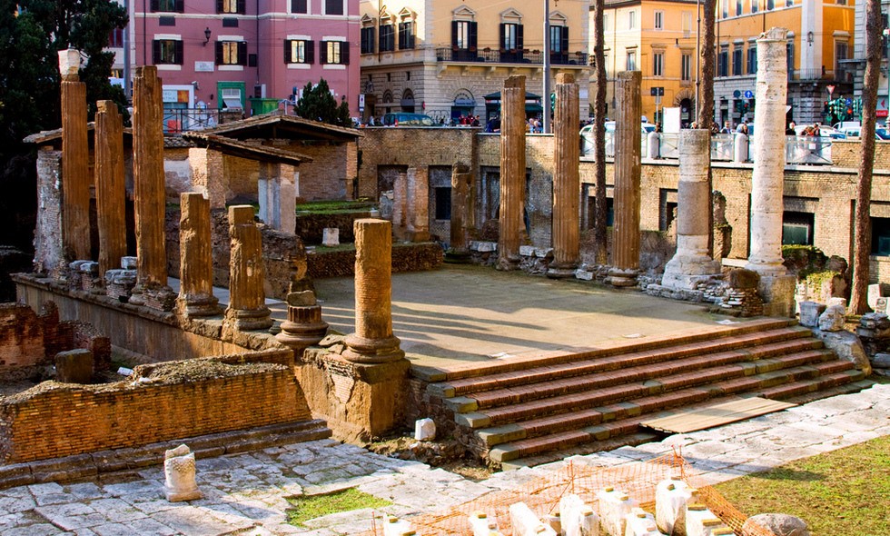 rim-macky-male-utulok-03