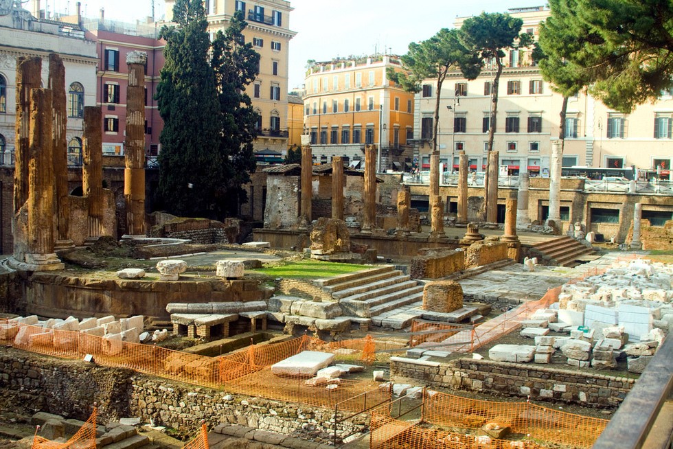 rim-macky-male-utulok-06