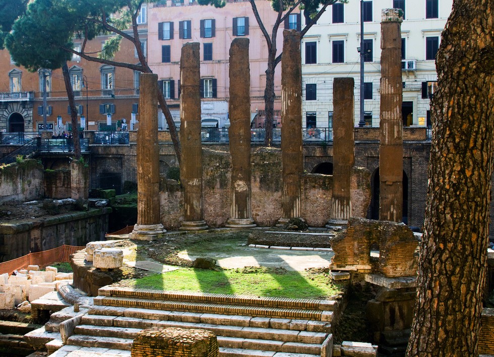 rim-macky-male-utulok-07